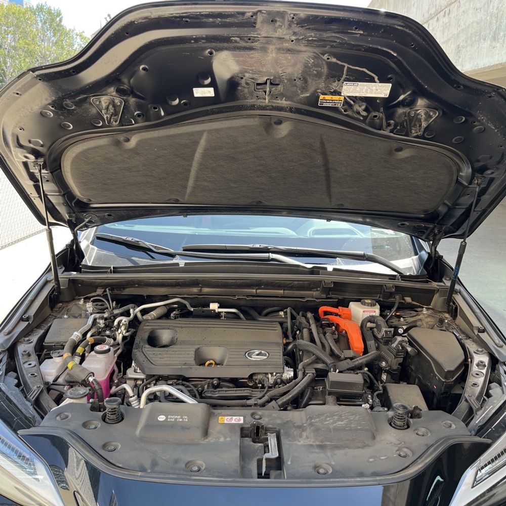 2024 Lexus NX 450h+ F SPORT Handling