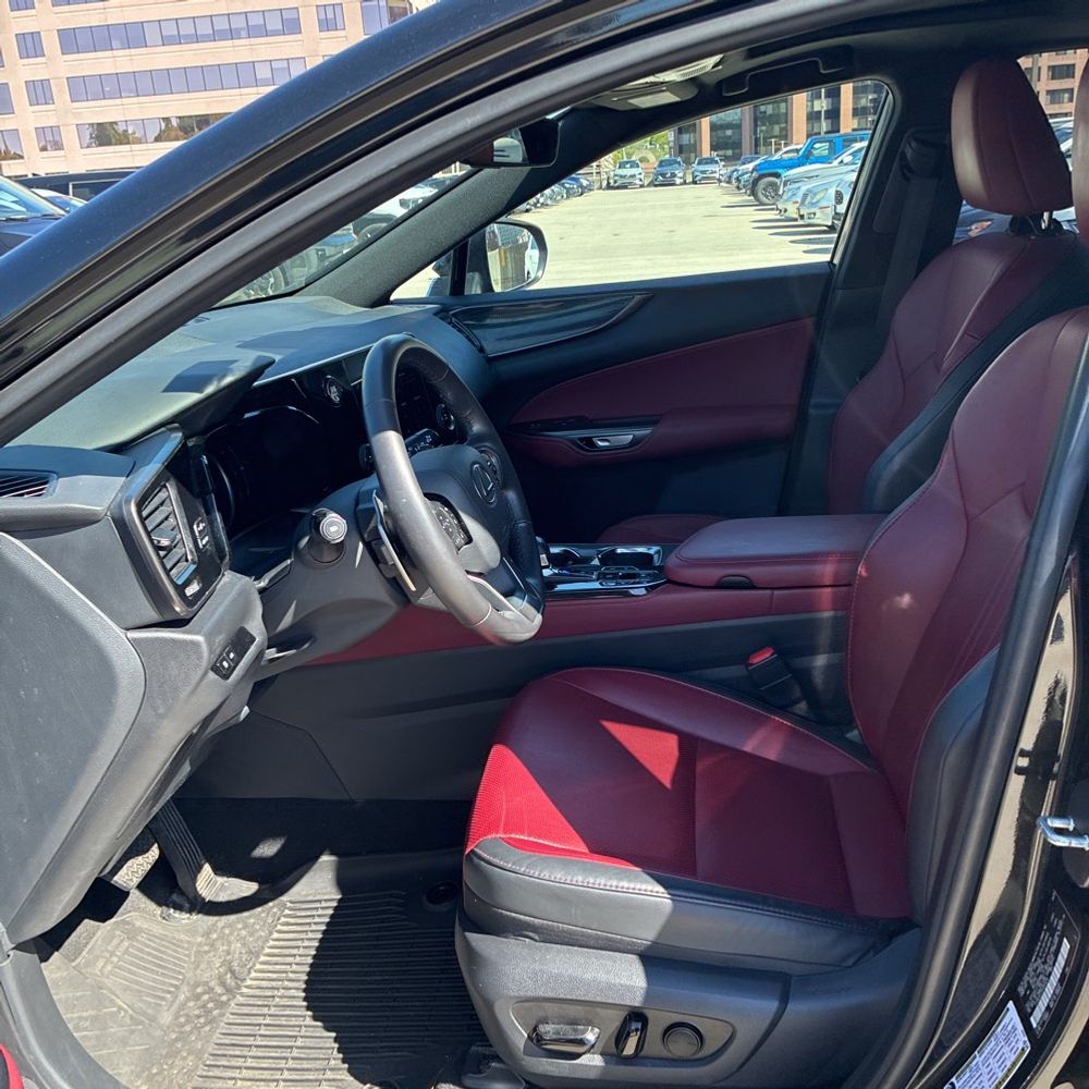 2025 Lexus NX 250 Base