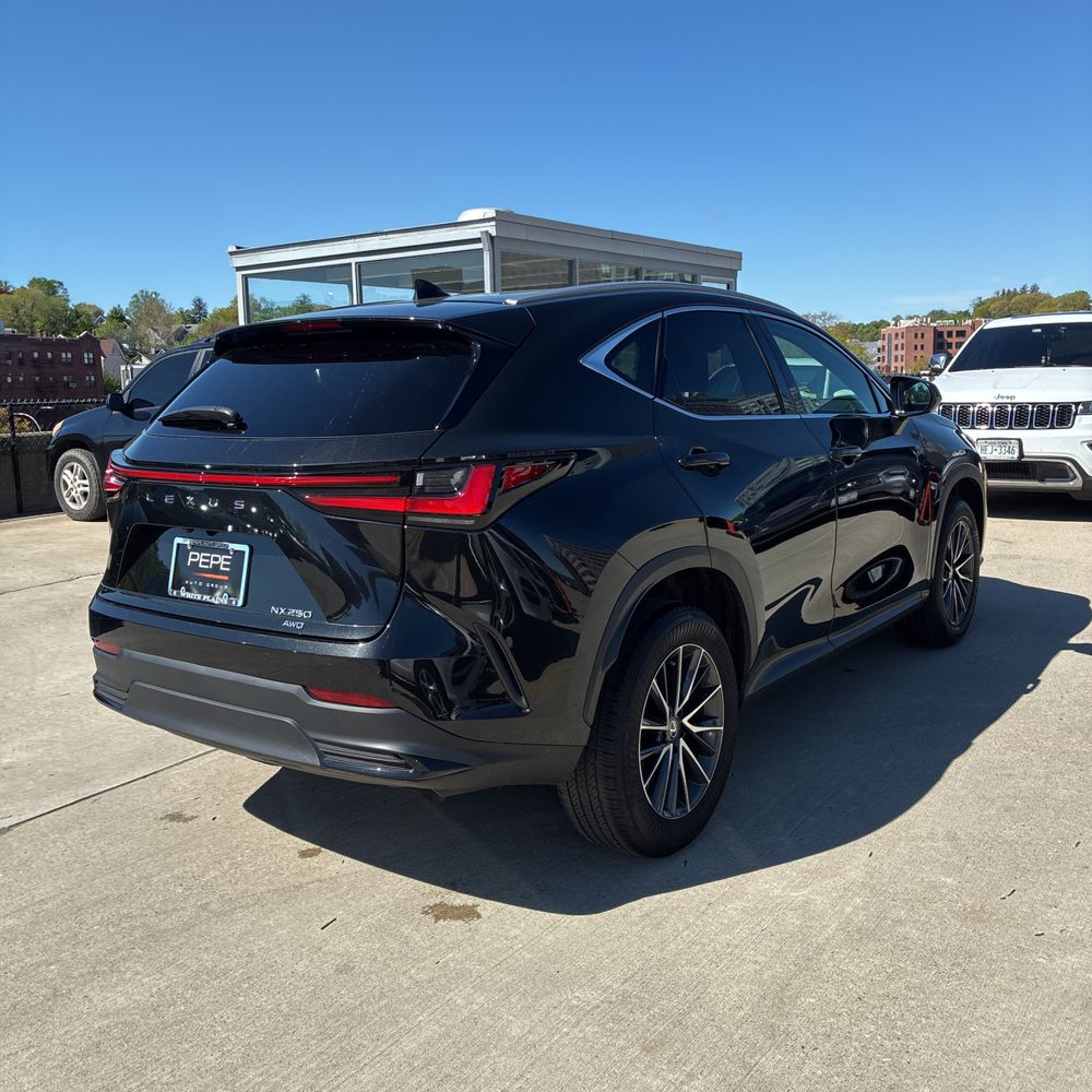 2025 Lexus NX 250 Base