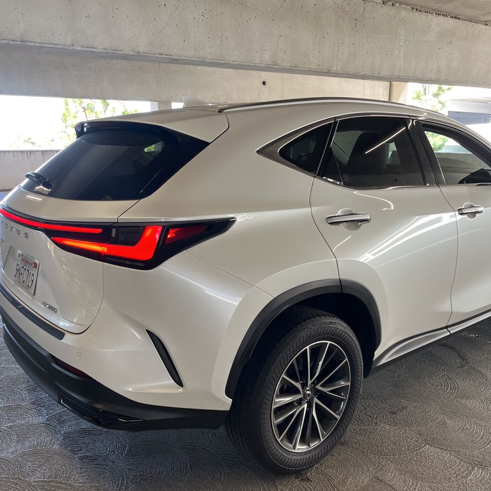 2025 Lexus NX 250 Base