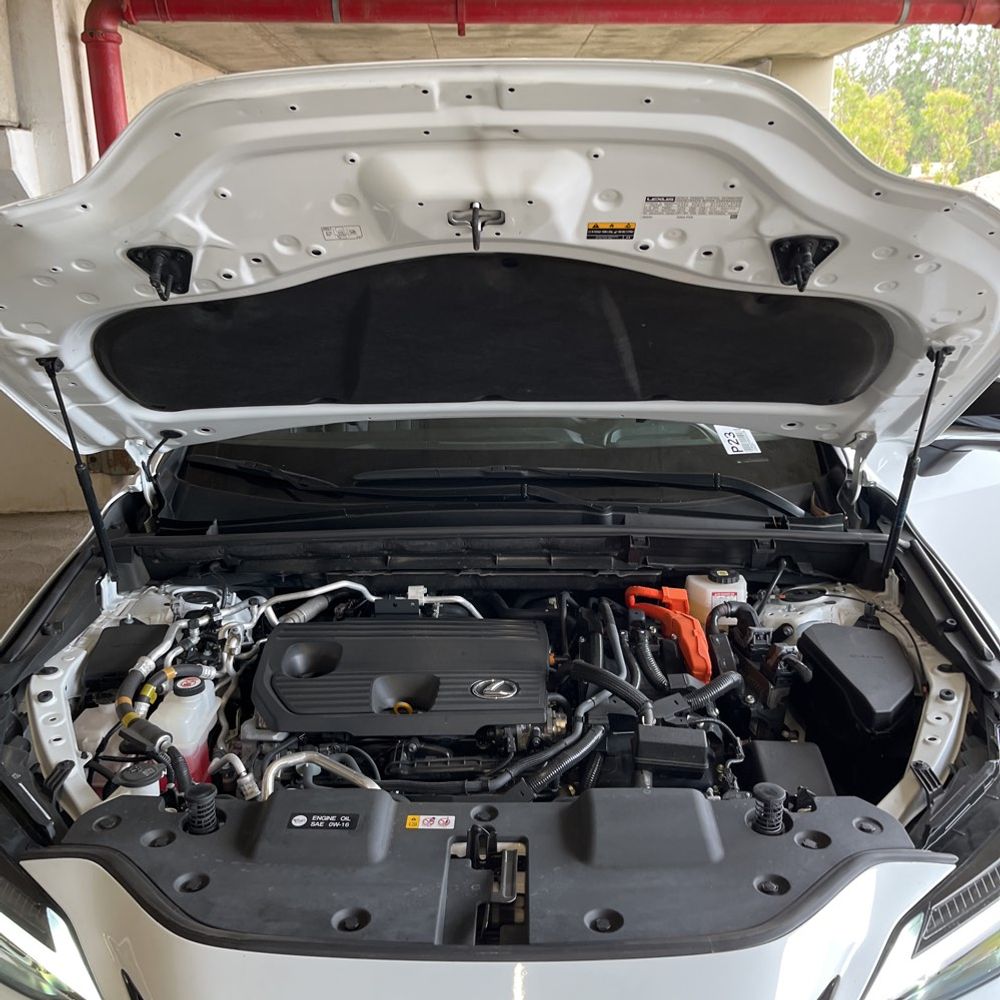 2024 Lexus NX 450h+ F SPORT Handling