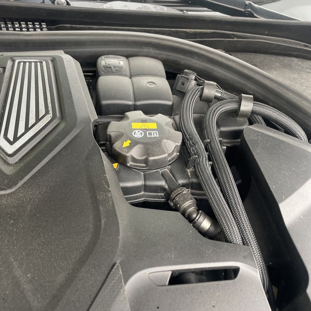 2019 BMW M5