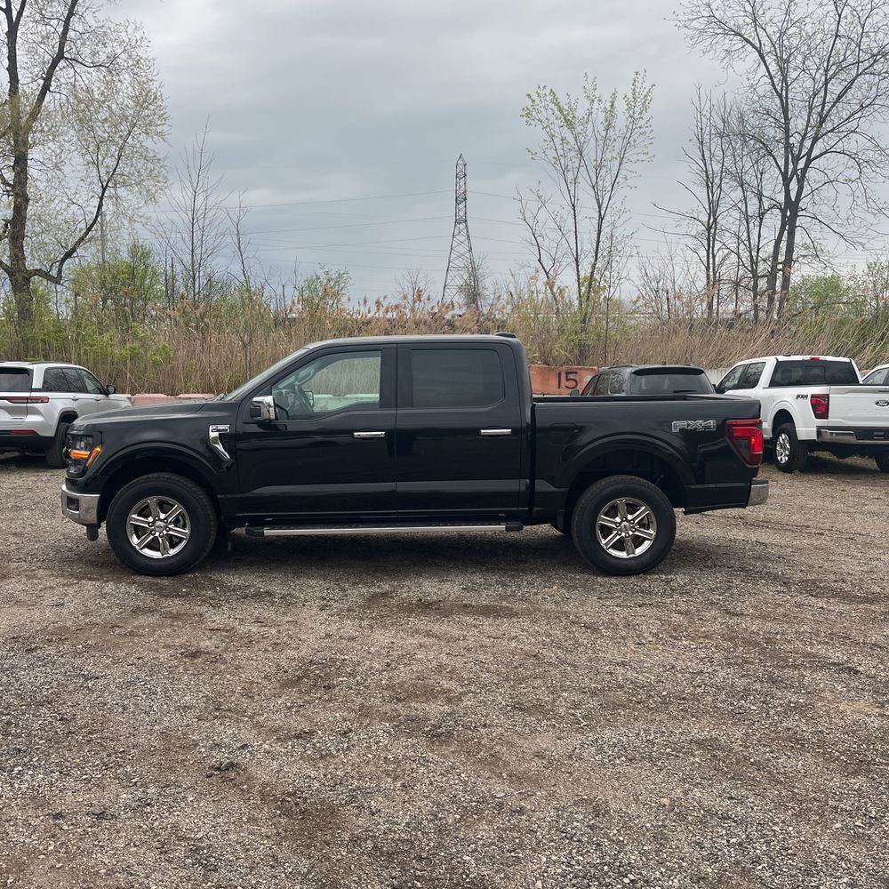 2025 Ford F-150 XLT