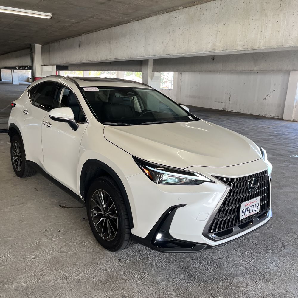 2025 Lexus NX 250 Base