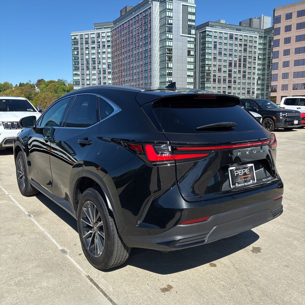 2025 Lexus NX 250 Base