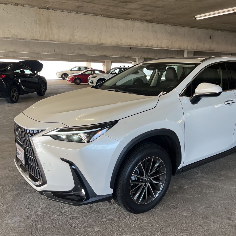 2025 Lexus NX 250 Base