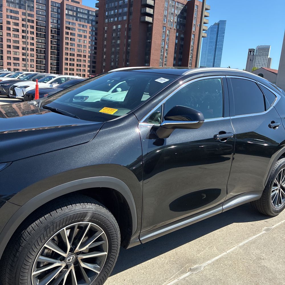 2025 Lexus NX 250 Base
