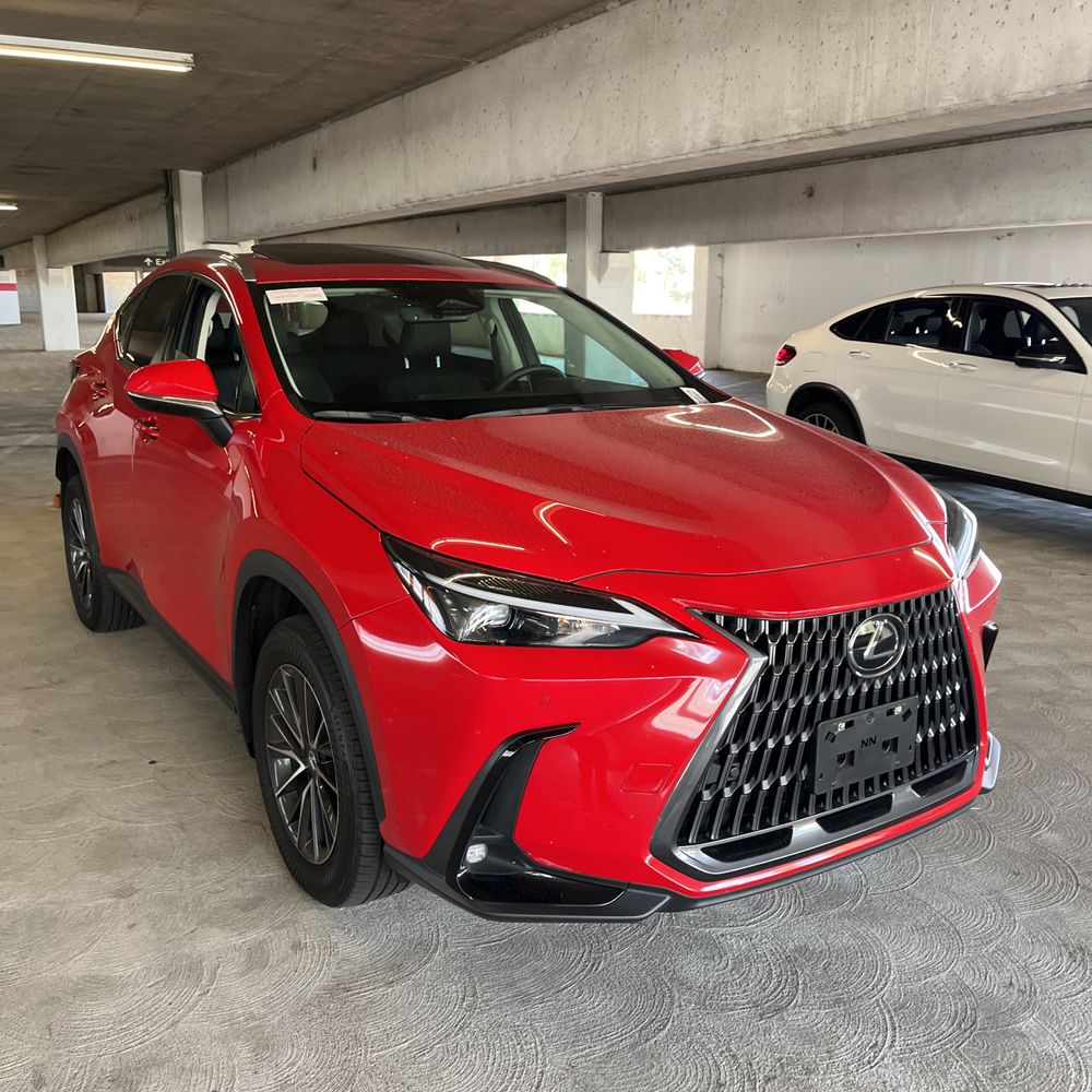 2025 Lexus NX 250 Premium