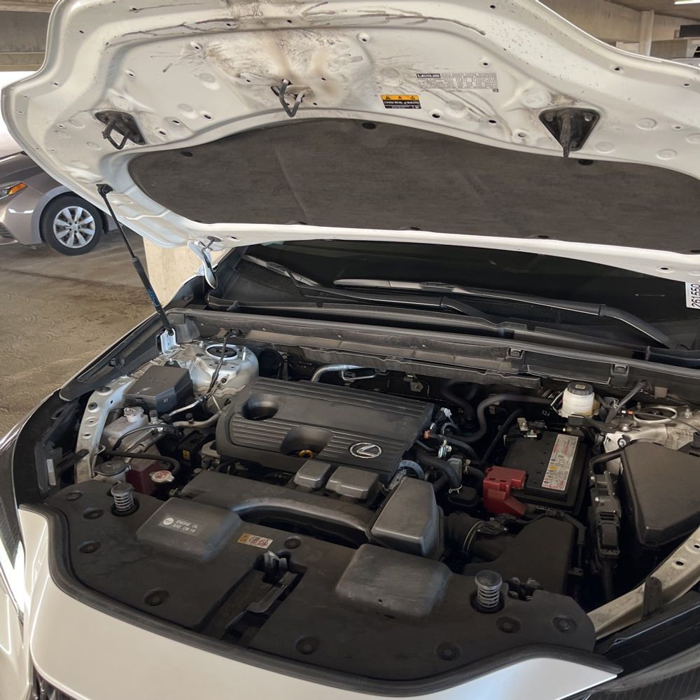 2025 Lexus NX 250 Base