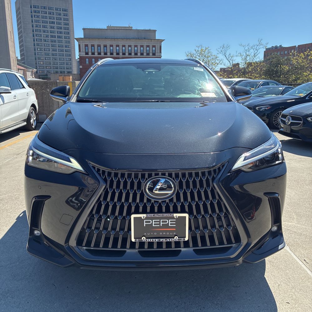 2025 Lexus NX 250 Base