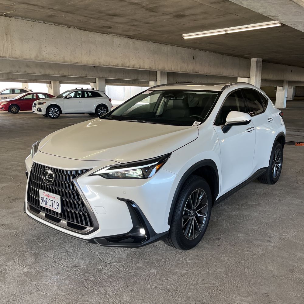 2025 Lexus NX 250 Base