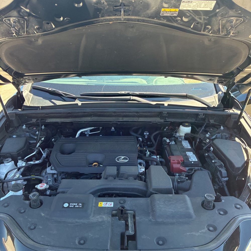 2025 Lexus NX 250 Base