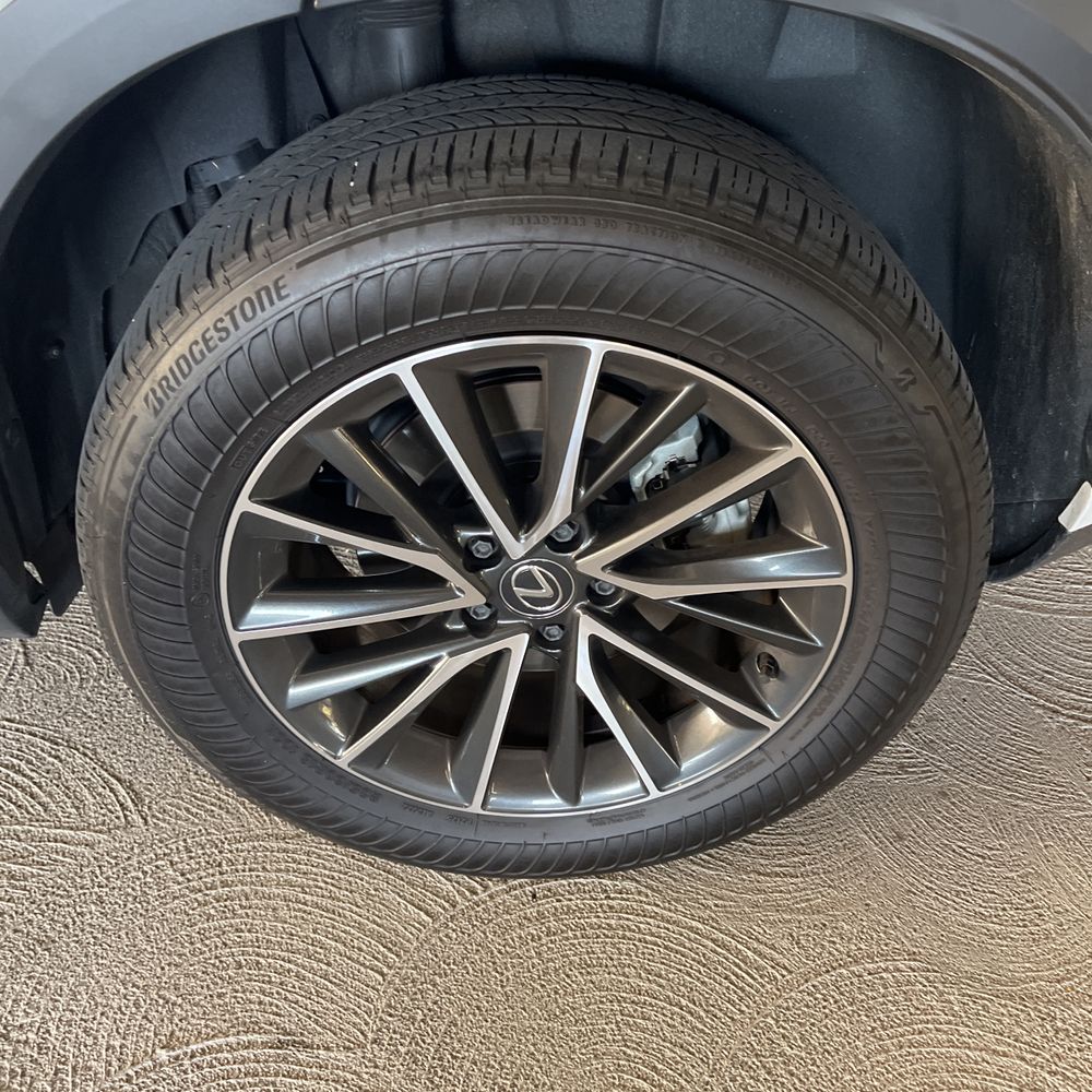 2025 Lexus NX 250 Base