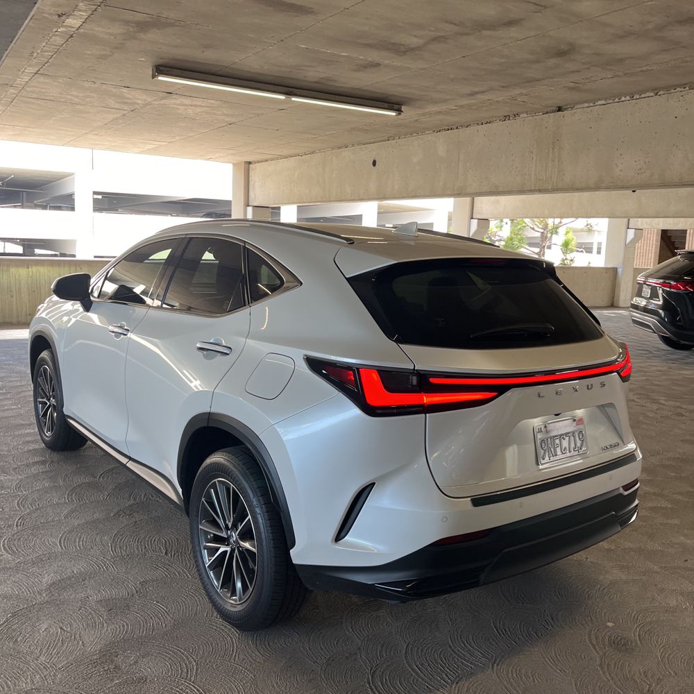 2025 Lexus NX 250 Base