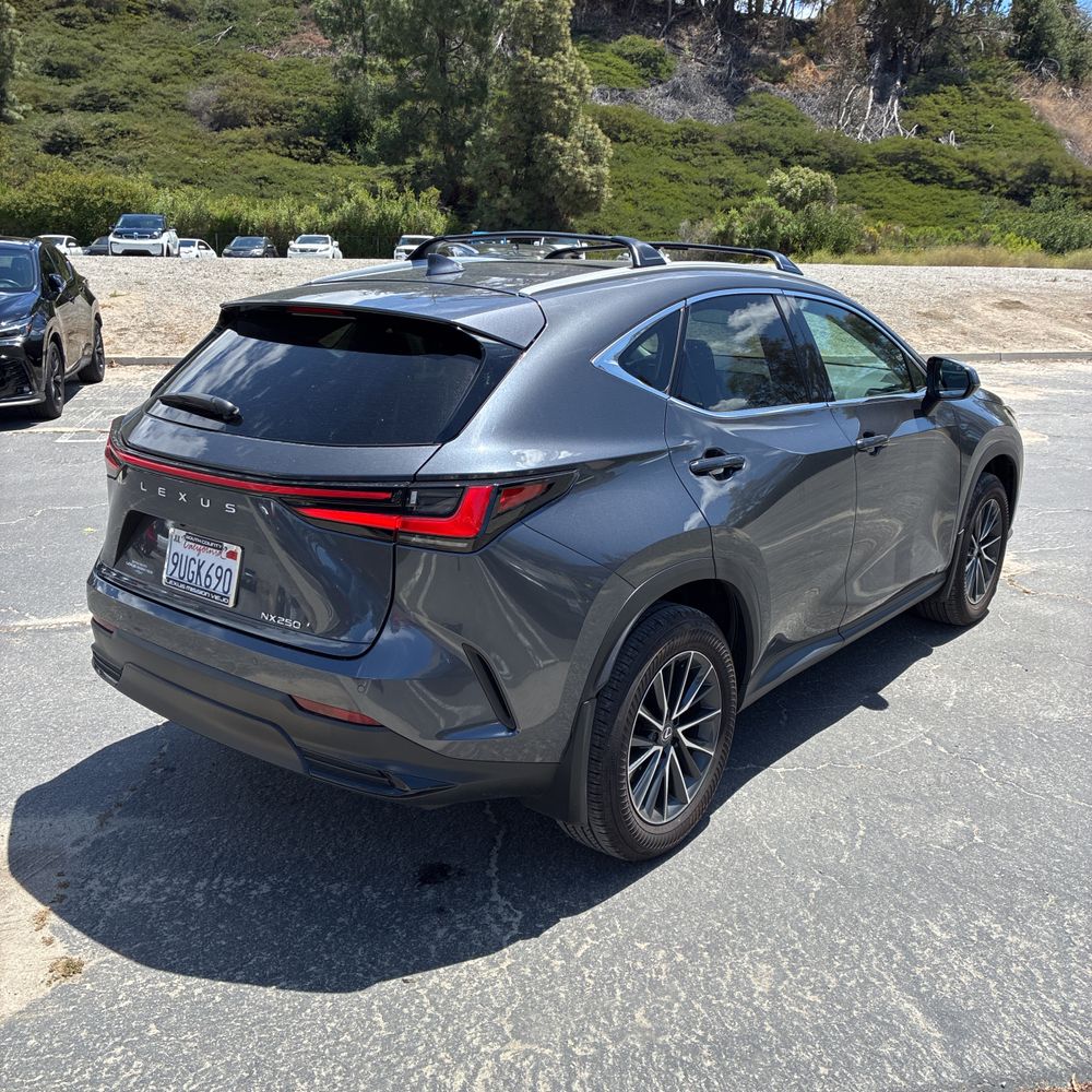 2025 Lexus NX 250 Base