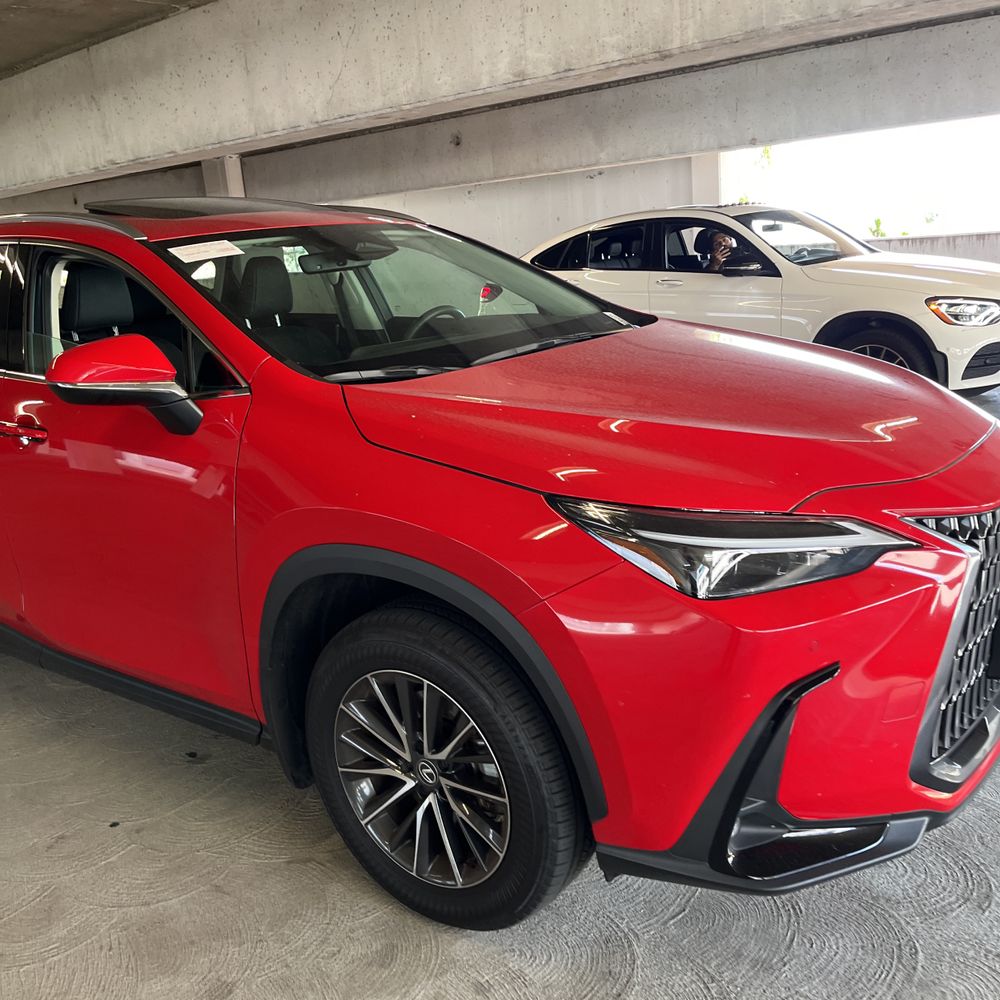 2025 Lexus NX 250 Premium