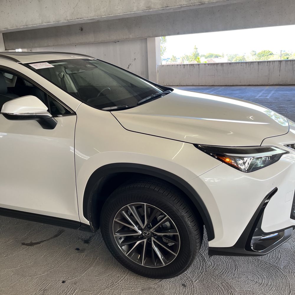 2025 Lexus NX 250 Base