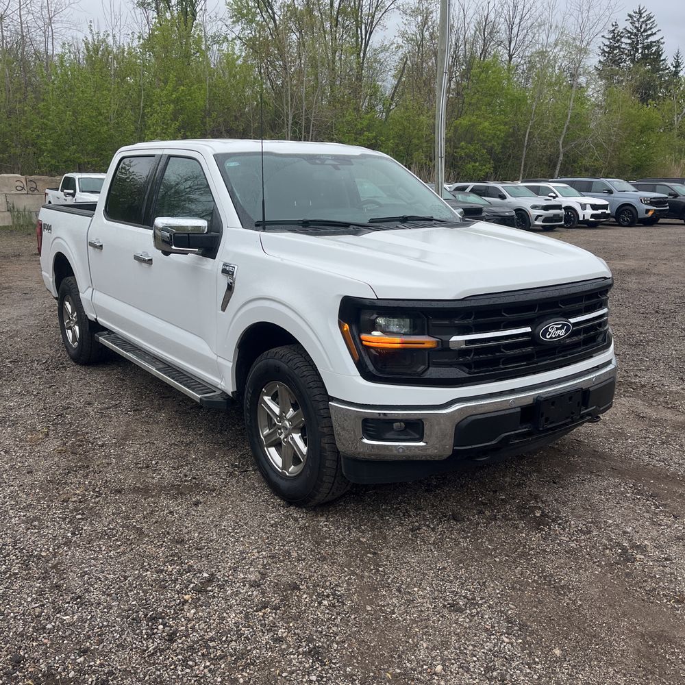 2025 Ford F-150 XLT