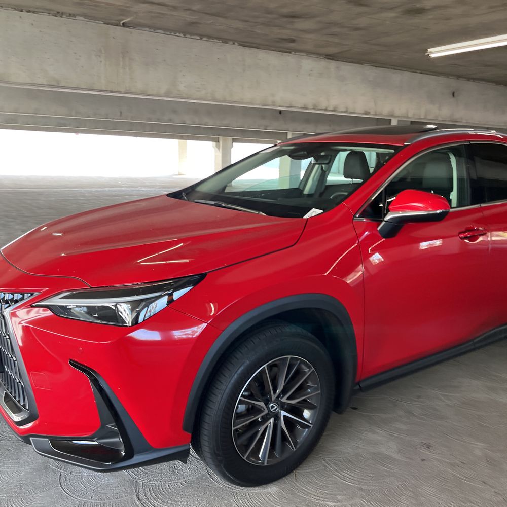 2025 Lexus NX 250 Premium