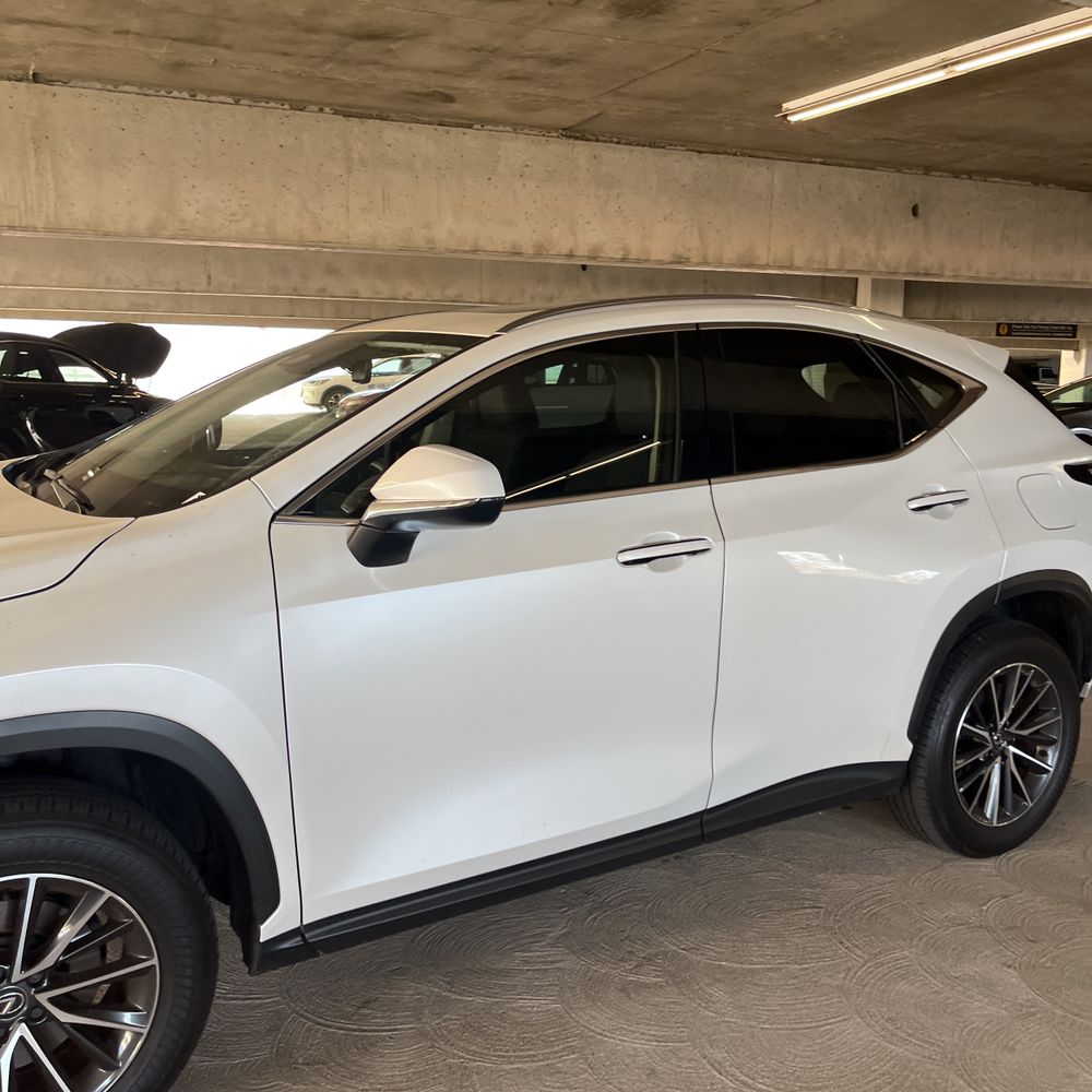 2025 Lexus NX 250 Base