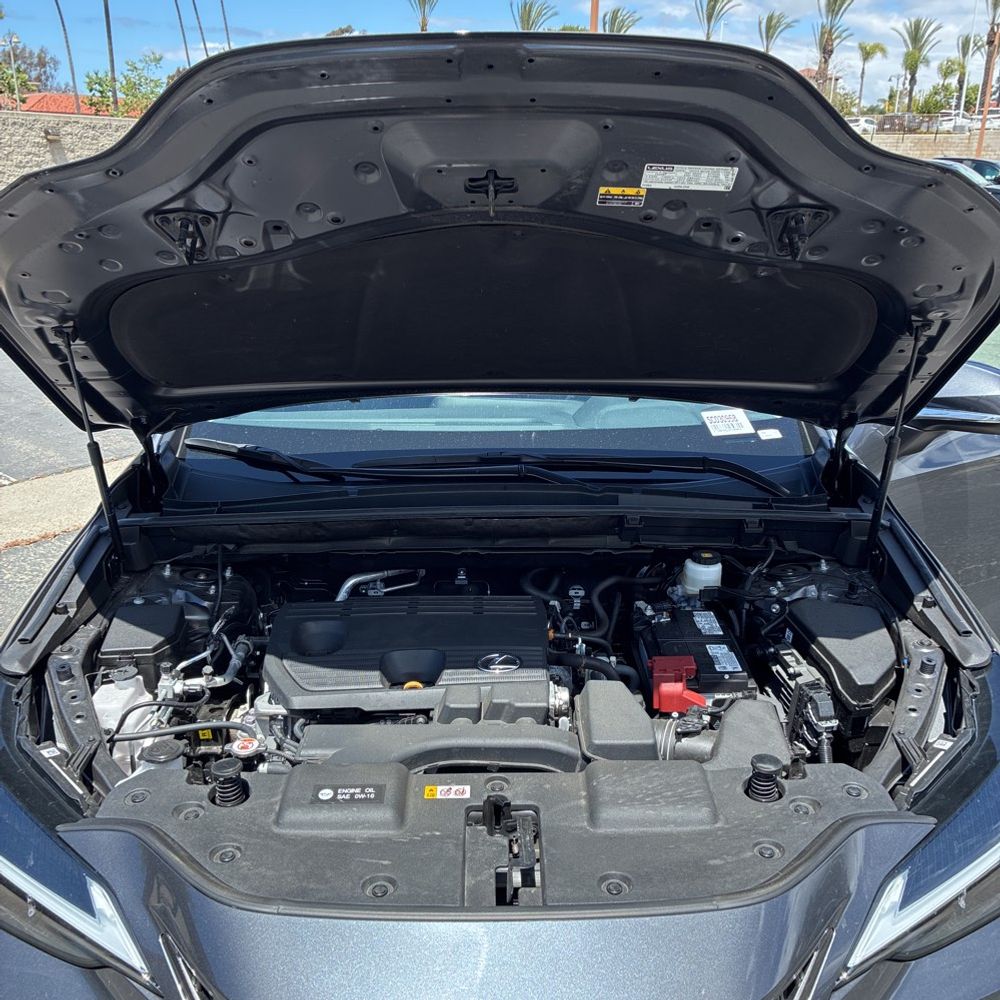 2025 Lexus NX 250 Base