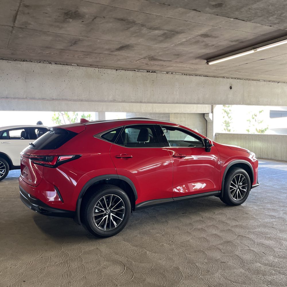 2025 Lexus NX 250 Premium