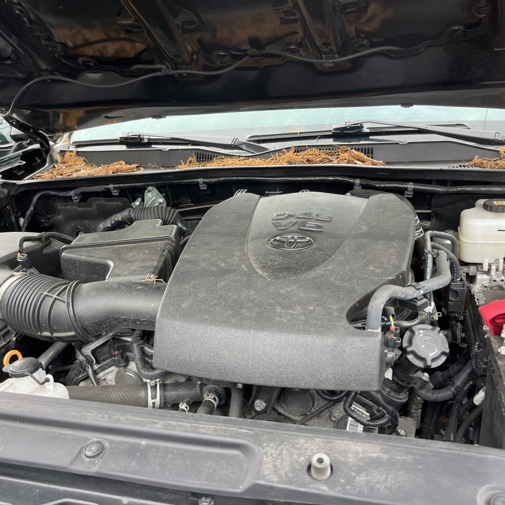2023 Toyota Tacoma TRD Off-Road