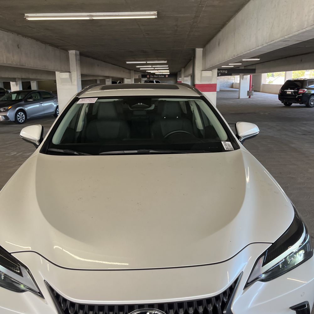 2025 Lexus NX 250 Base