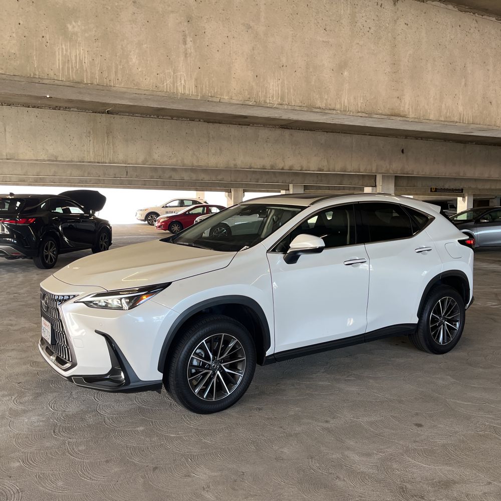 2025 Lexus NX 250 Base