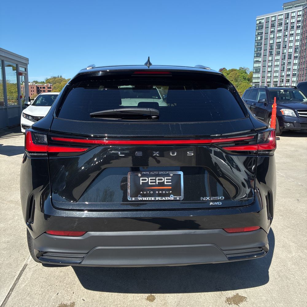 2025 Lexus NX 250 Base