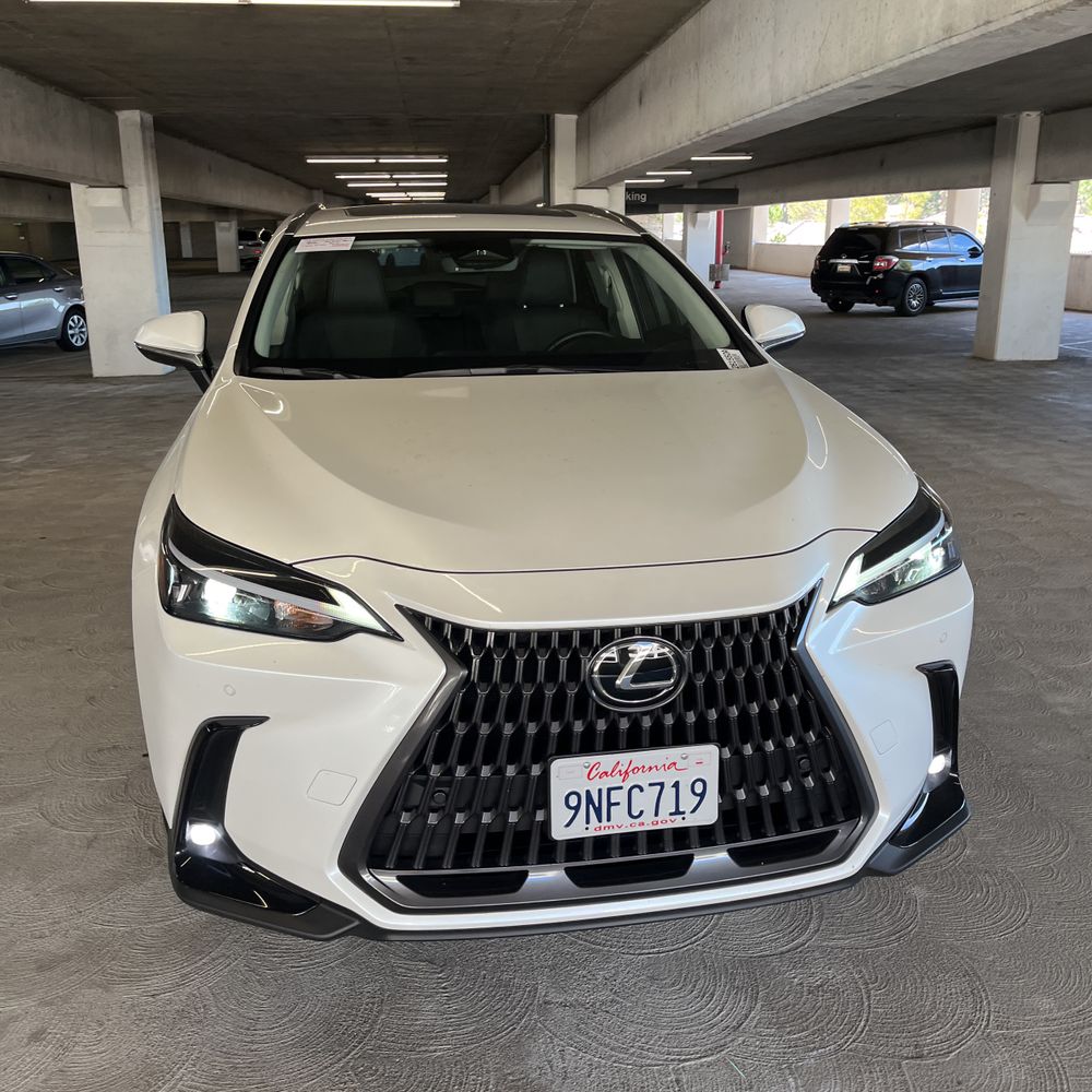 2025 Lexus NX 250 Base