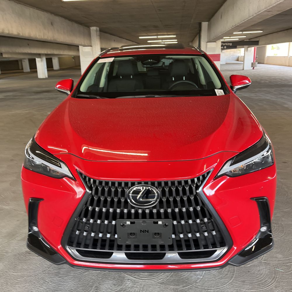 2025 Lexus NX 250 Premium