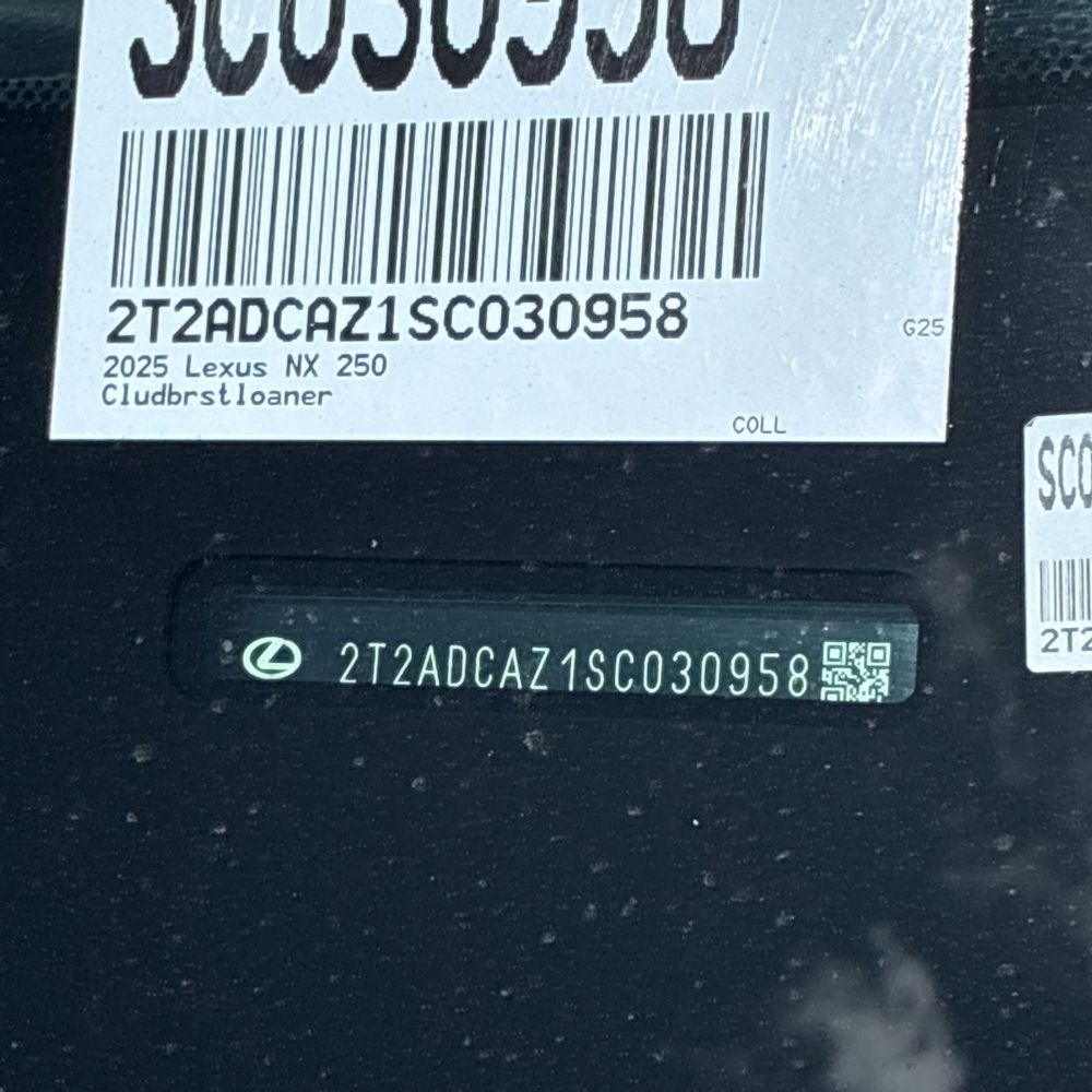 2025 Lexus NX 250 Base