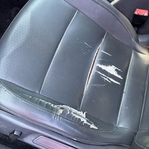 صورة مصغرة 57 لـ 2008 Volkswagen JETTA SE