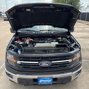 2024 FORD F-150 XLT 缩略图 43