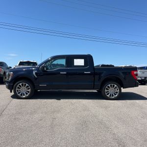 FORD F-150 LIMITED - 3