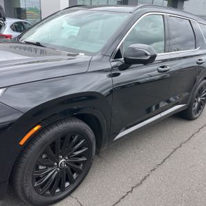 HYUNDAI PALISADE CALLIGRAPHY NIGHT EDITION - 2