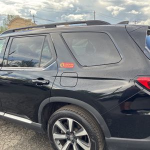 HONDA PILOT ELITE - 6