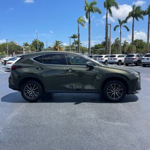 2024 Lexus NX 250 BASE 照片 10