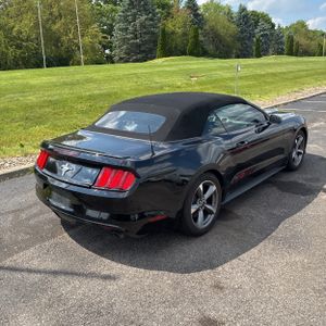 FORD MUSTANG BASE - 8