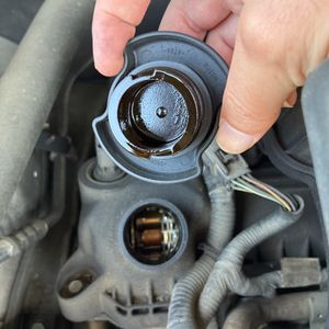 2009 FORD ESCAPE XLT photo 45