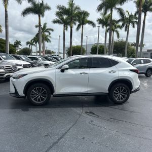 2023 Lexus NX 250 BASE 照片 3