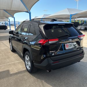 2019 Toyota RAV4 XLE 照片 5