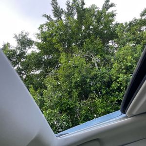 2015 Infiniti Q50 PREMIUM 缩略图 36
