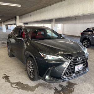 2024 Lexus NX 350H PREMIUM thumbnail 12