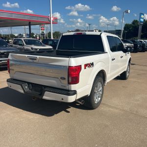 2019 FORD F-150 PLATINUM 照片 8