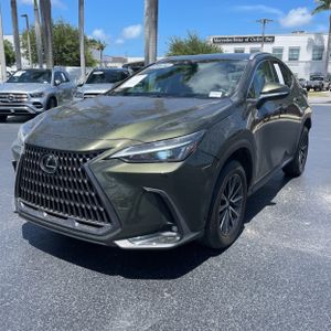 2024 Lexus NX 250 BASE 照片 1