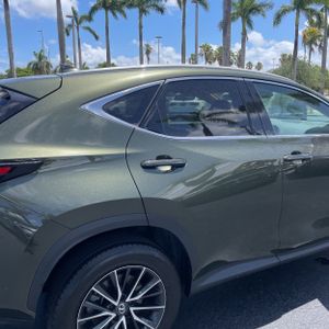 2024 Lexus NX 250 BASE 照片 9