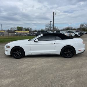 FORD MUSTANG ECOBOOST PREMIUM - 3