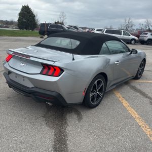 FORD MUSTANG ECOBOOST PREMIUM - 8